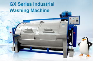 泰州優(yōu)質(zhì)工業(yè)洗衣機(jī)購買指南與廠家推薦