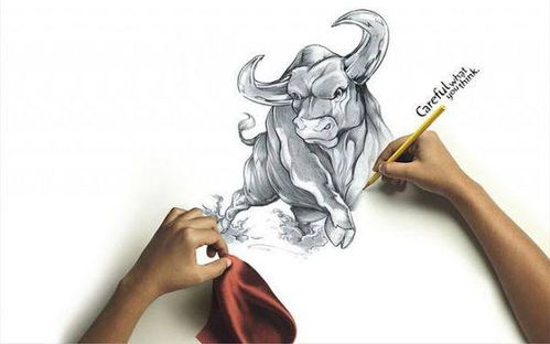 從廣告設(shè)計(jì)專業(yè)出發(fā) 開(kāi)啟多元職業(yè)發(fā)展之路